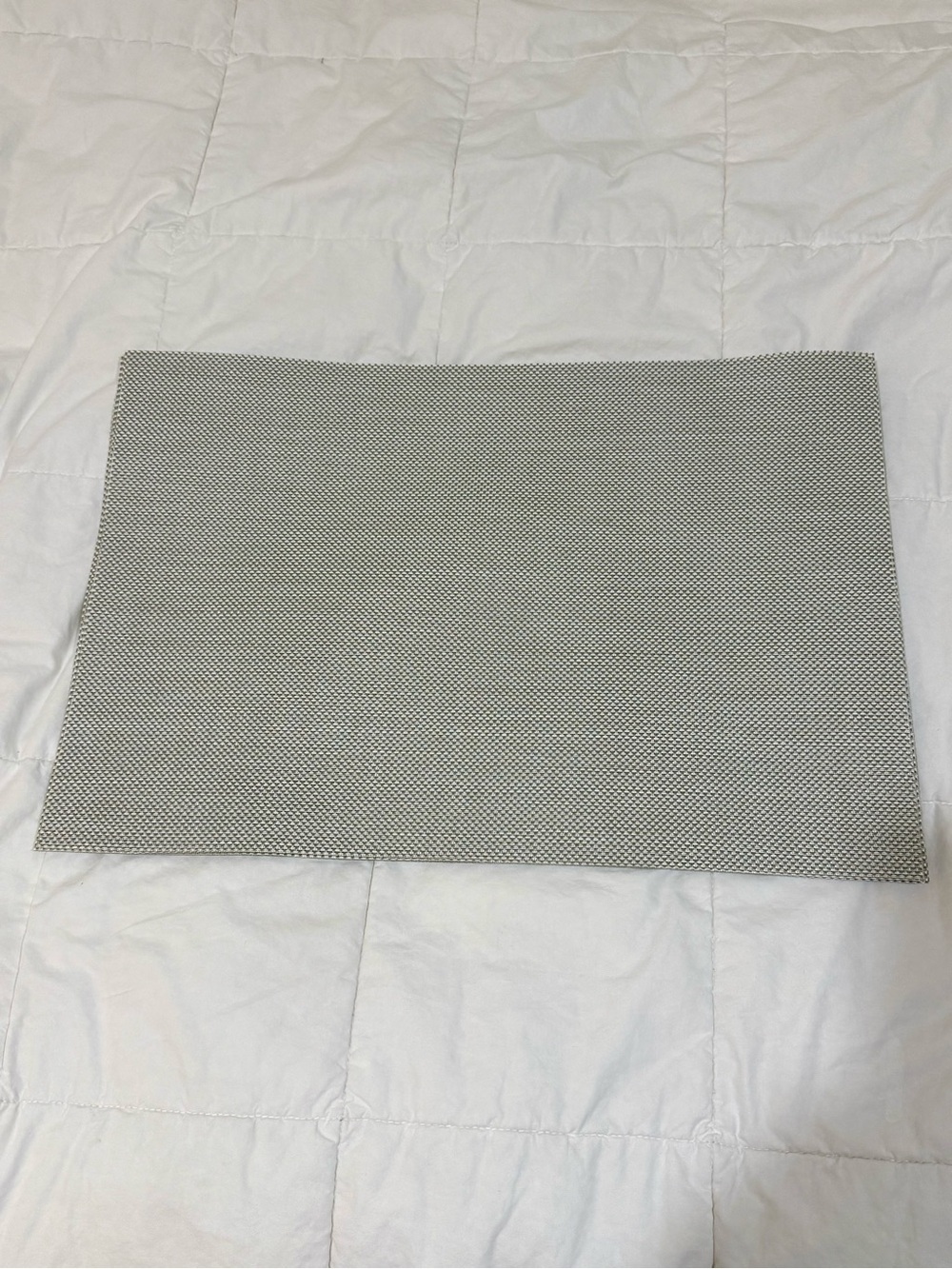 Ava Gray woven Placemat set of 6 NWOT Indoor/Outdoor tag removed